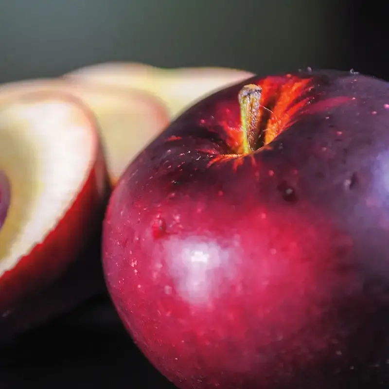 Arkansas Black Apple Tree - Heirloom Late-Season Fruit Variety