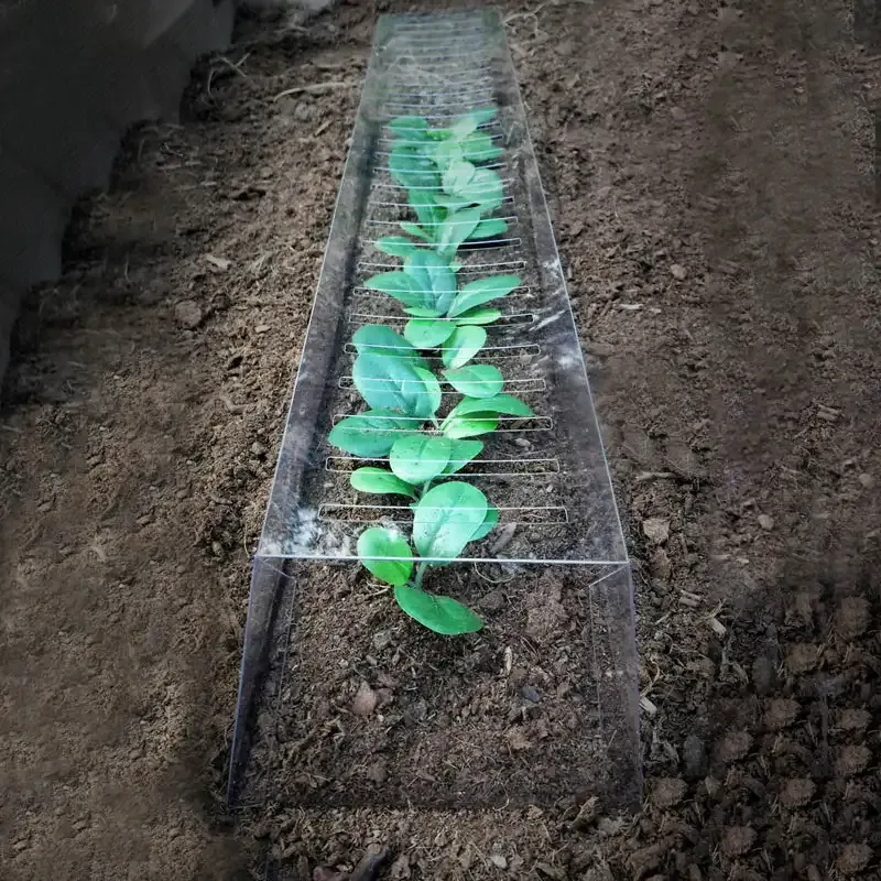 26-Inch Seedling Protector - Weather and Pest Barrier for Garden Plants