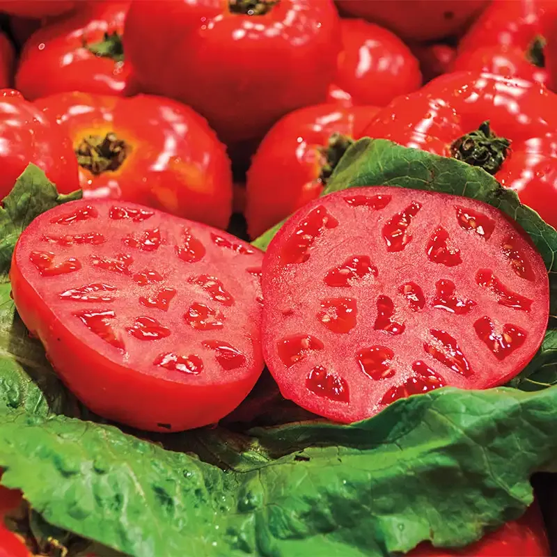 Ruby Monster Hybrid Tomato Seeds - High-Yield Beefsteak Variety