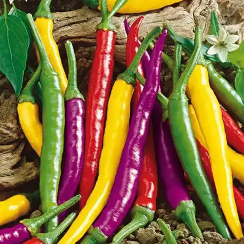 Carnivale Cayenne Pepper Blend Ground Chili Seasoning