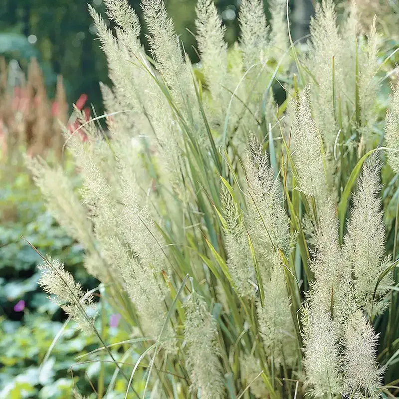 Diamond Grass Plant Artificial Decorative Greenery