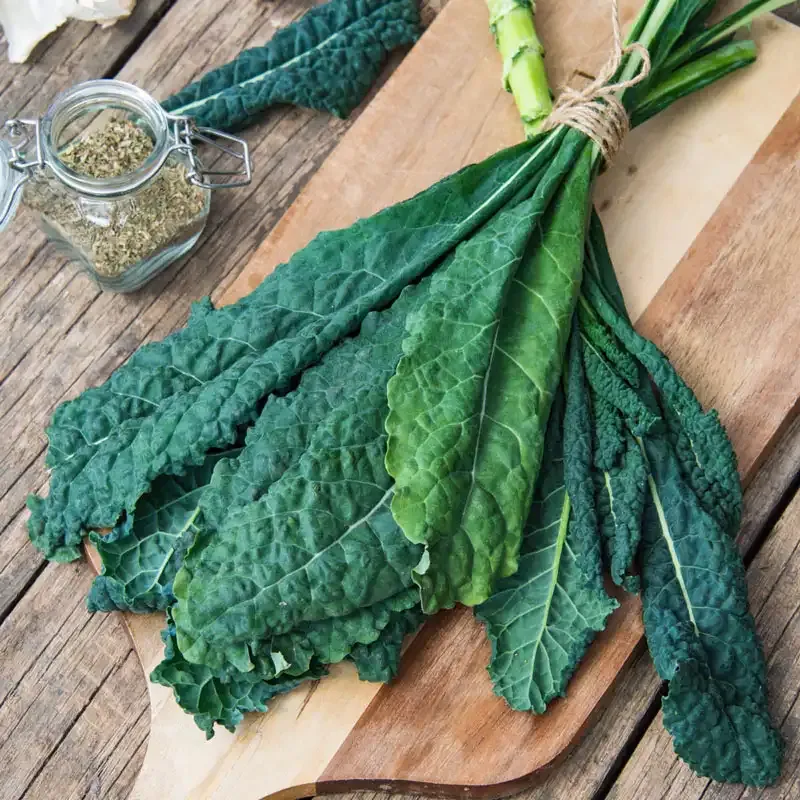 Winter Wonderland Mixed Kale Seeds for Cold-Season Gardening 2