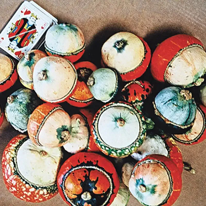 Aladin Gourd Seeds for Planting and Ornamental Crafting