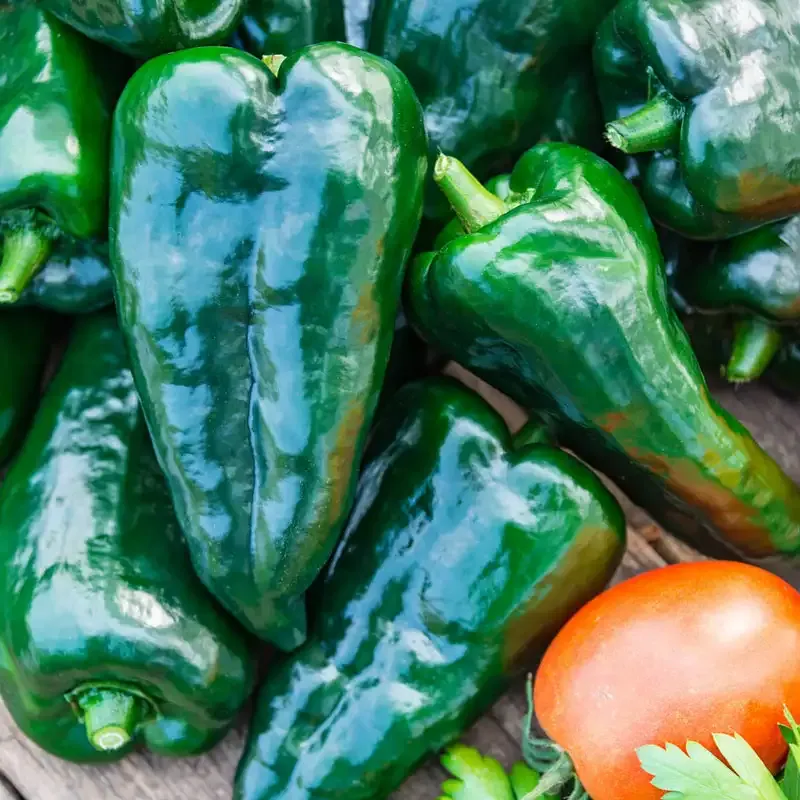 Masivo Hybrid Hot Pepper Seeds for Home Vegetable Gardening 2