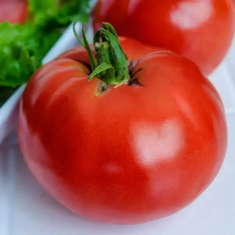 K2 Hybrid Tomato Seeds - High-Yield and Disease-Resistant Variety