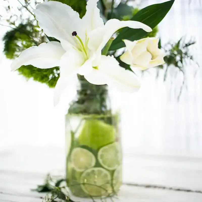 Casablanca Lily Botanical Fragrance Oil for Home Aromatherapy 1