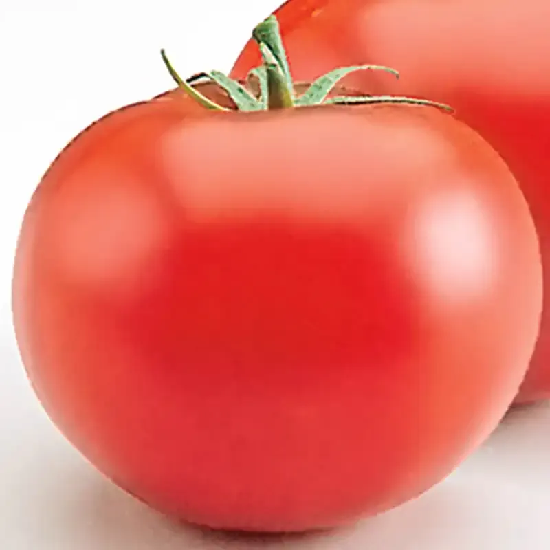 Heatmaster Hybrid Tomato Seeds - Heat-Tolerant Garden Variety