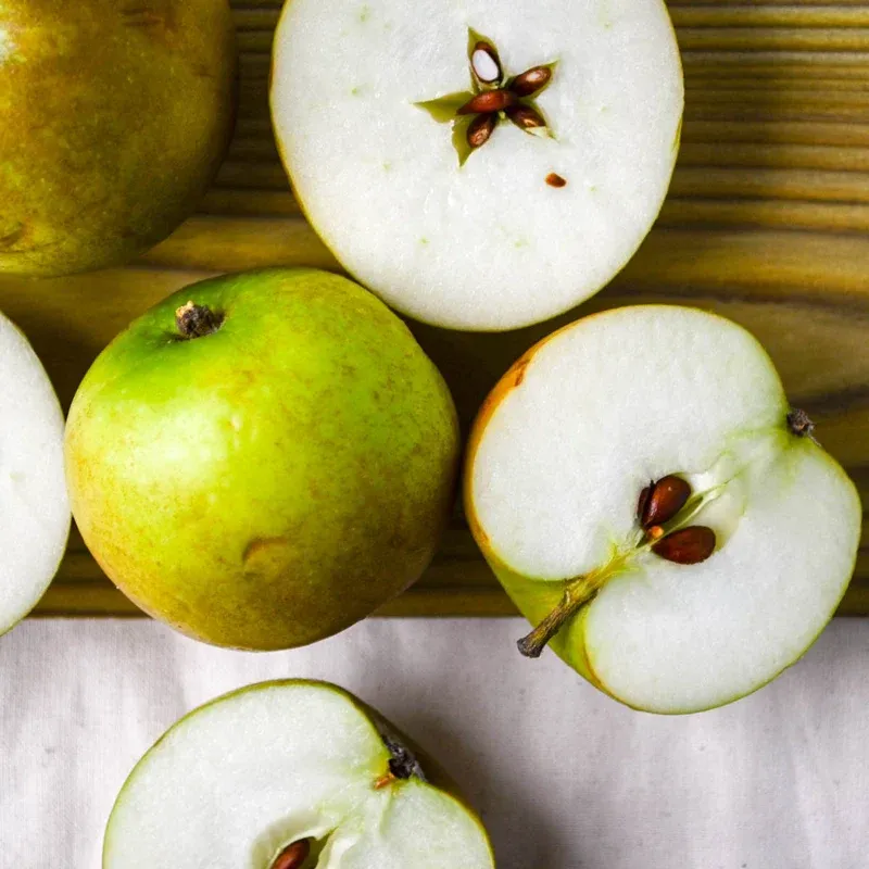Ashmead’s Kernel Heirloom Apple Variety 1