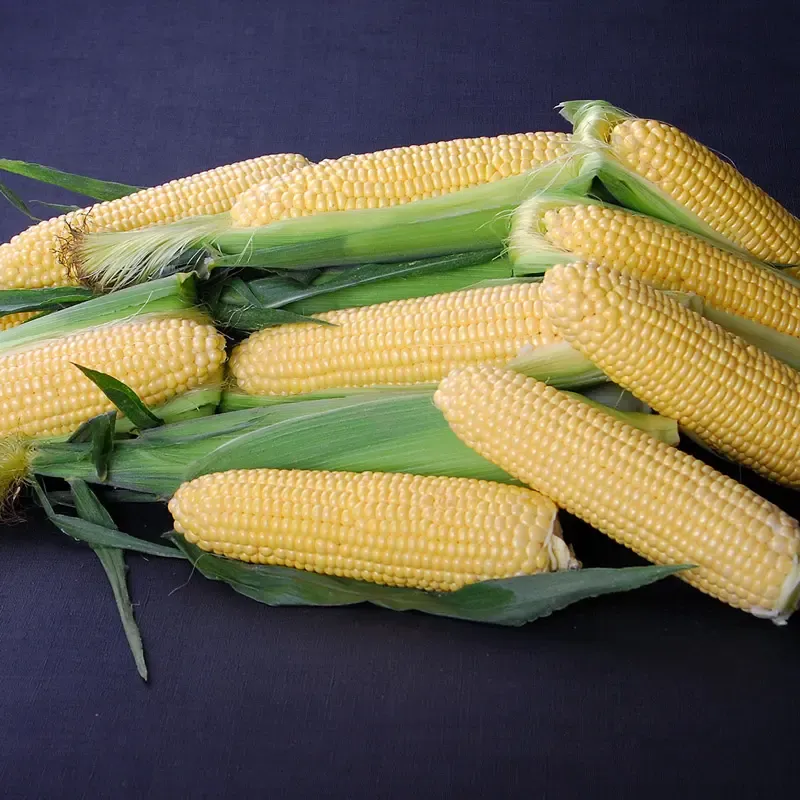 Golden Halo Sweet Corn - Natural Yellow Corn Kernels