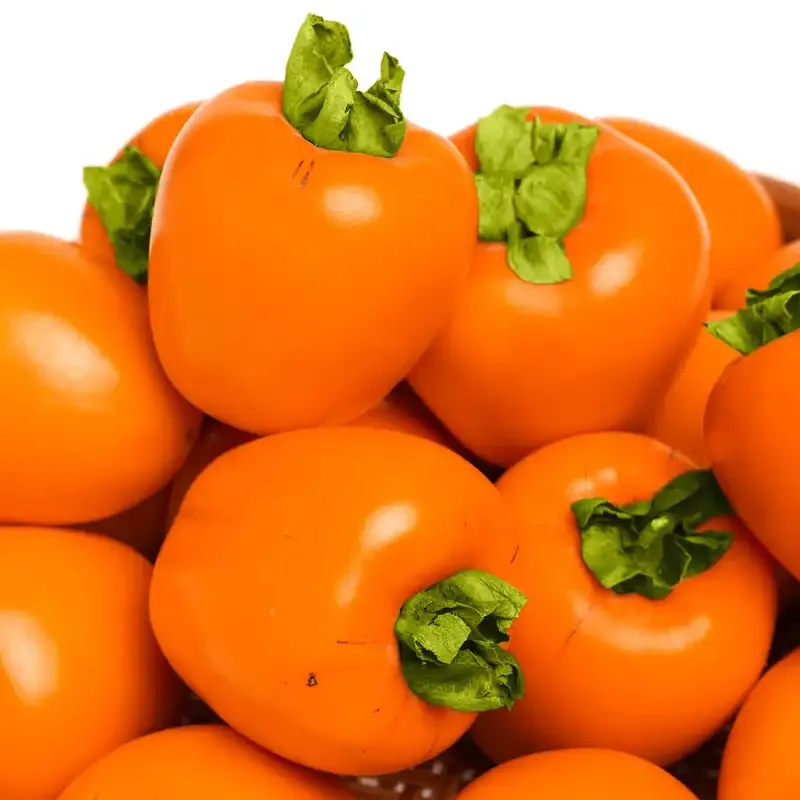 Chocolate Persimmon - Fresh Non-Astringent Variety 3