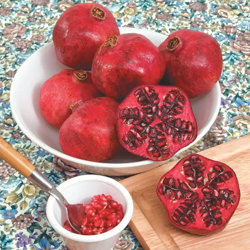 Dwarf Pomegranate Plant - Compact Ornamental Fruit-Bearing Shrub