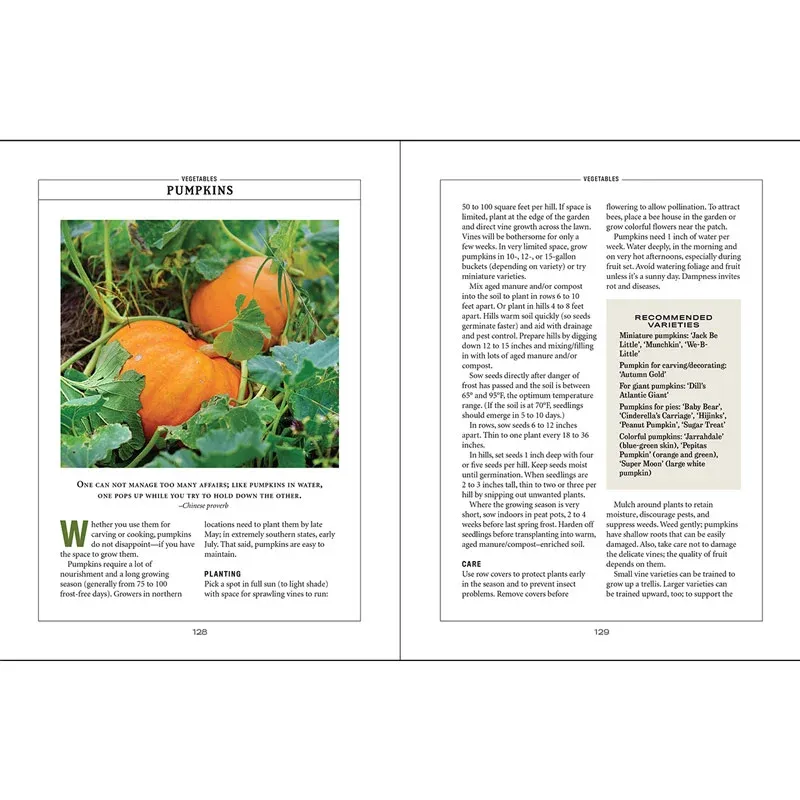 Vegetable Gardener’s Handbook: Practical Guide for Seasonal Planting and Garden Maintenance 1