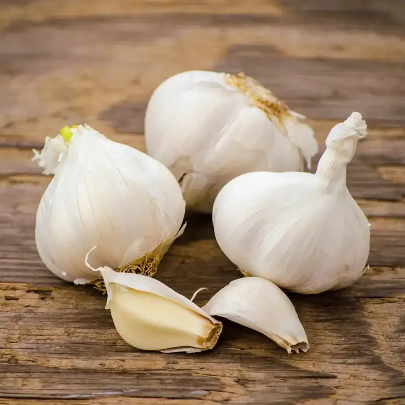 Fresh Softneck Garlic Bundle for Culinary Use 1