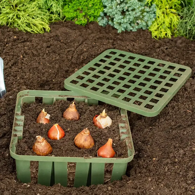 Bulb Basket Kit for Garden Planting and Protection