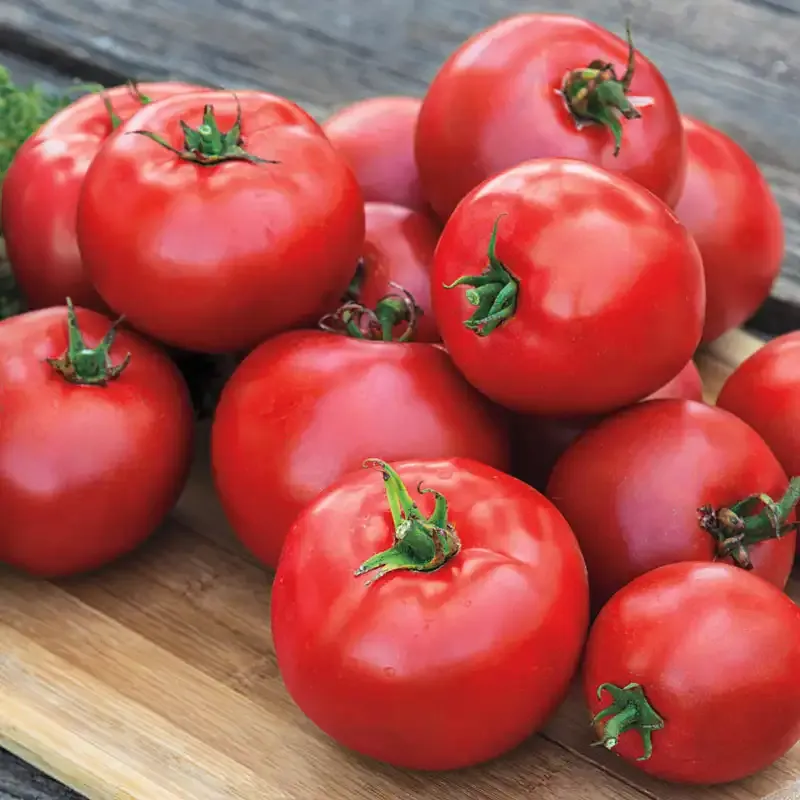 Tasty Beef Hybrid Tomato Seeds for Home Gardening 1