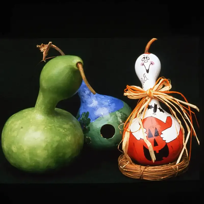 Birdhouse Gourd Seeds - Heirloom Lagenaria Siceraria for DIY Crafts