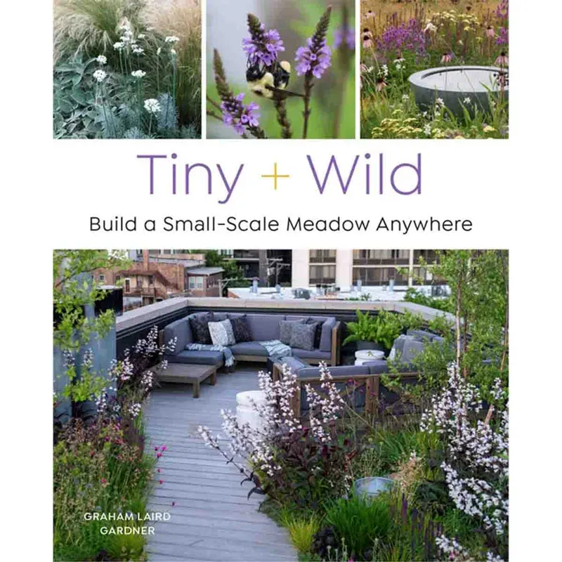 Compact Wildflower Meadow Starter Kit for Urban Spaces