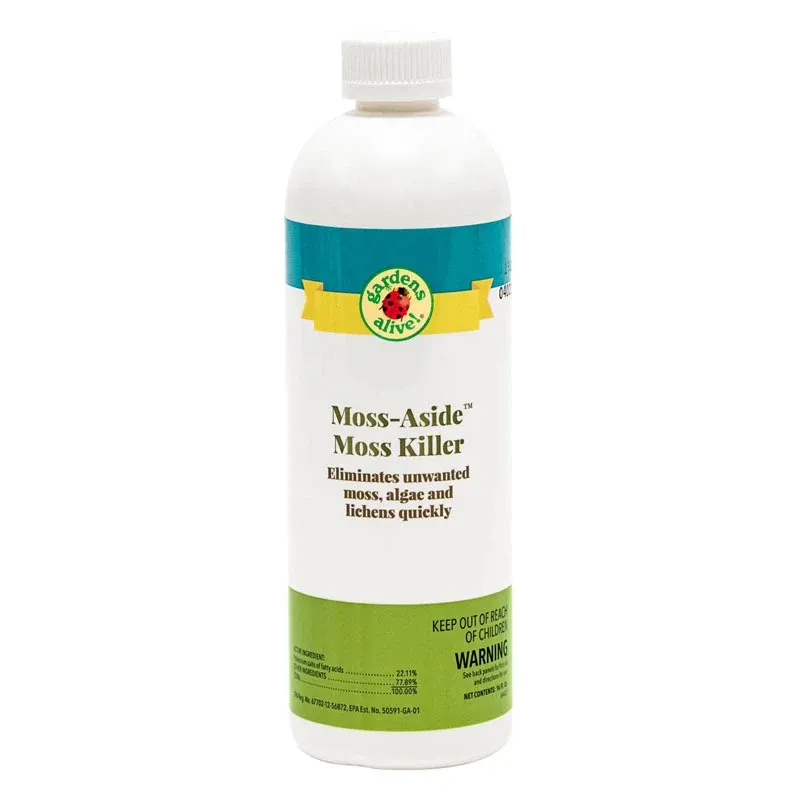 Professional Moss Killer Concentrate for Outdoor Surfaces 1