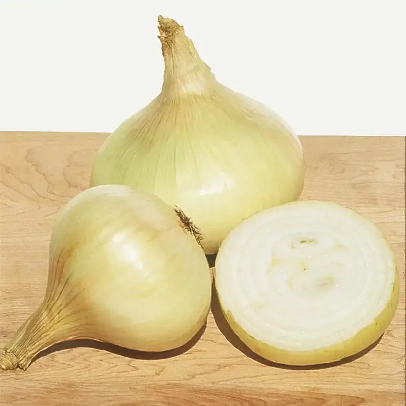 Yellow Granex Hybrid Onion Seeds - Short-Day Sweet Onion Variety