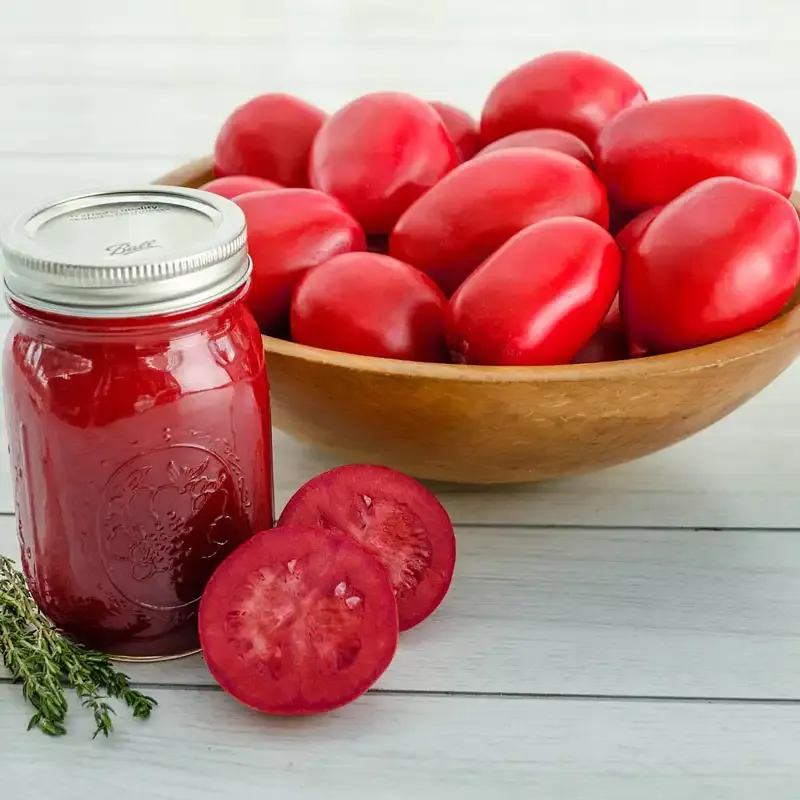 Hybrid Processing Tomato Seeds for Sauce Production 1