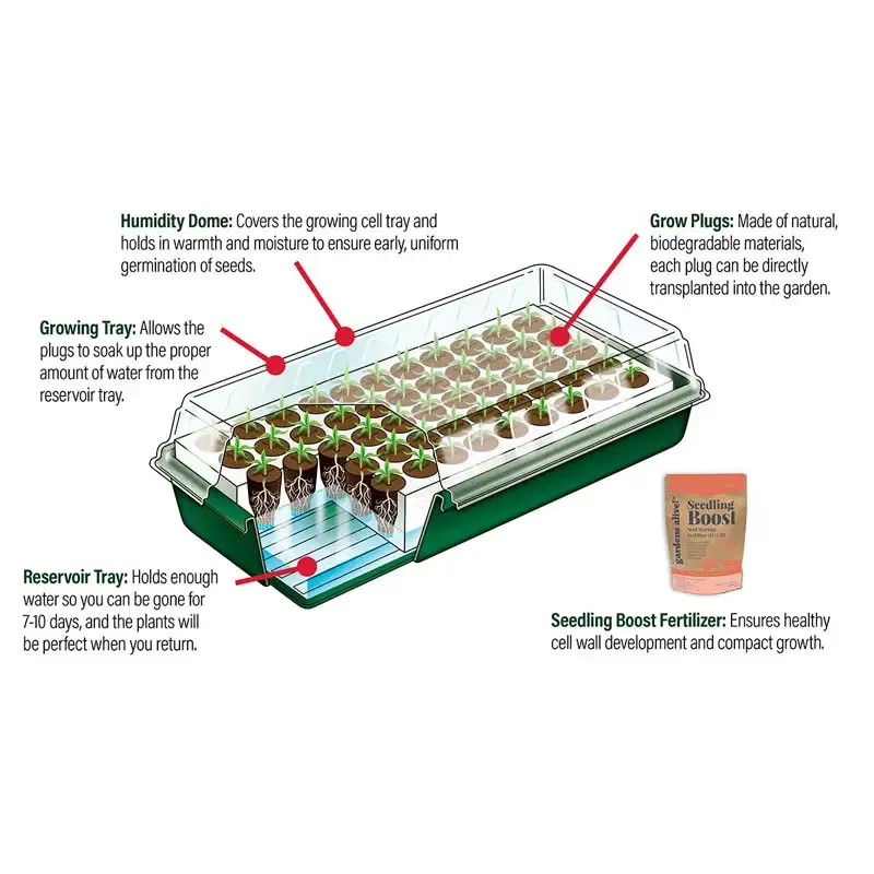 Seed Starting Kit with Propagation Trays for Indoor Seed Germination 1