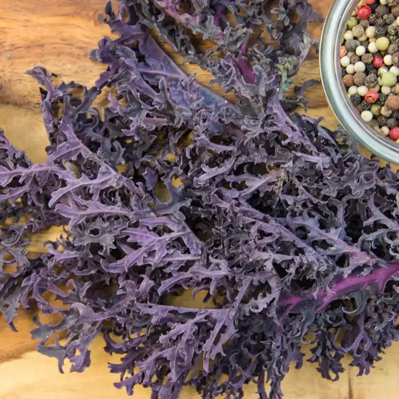 Winter Wonderland Mixed Kale Seeds for Cold-Season Gardening 3