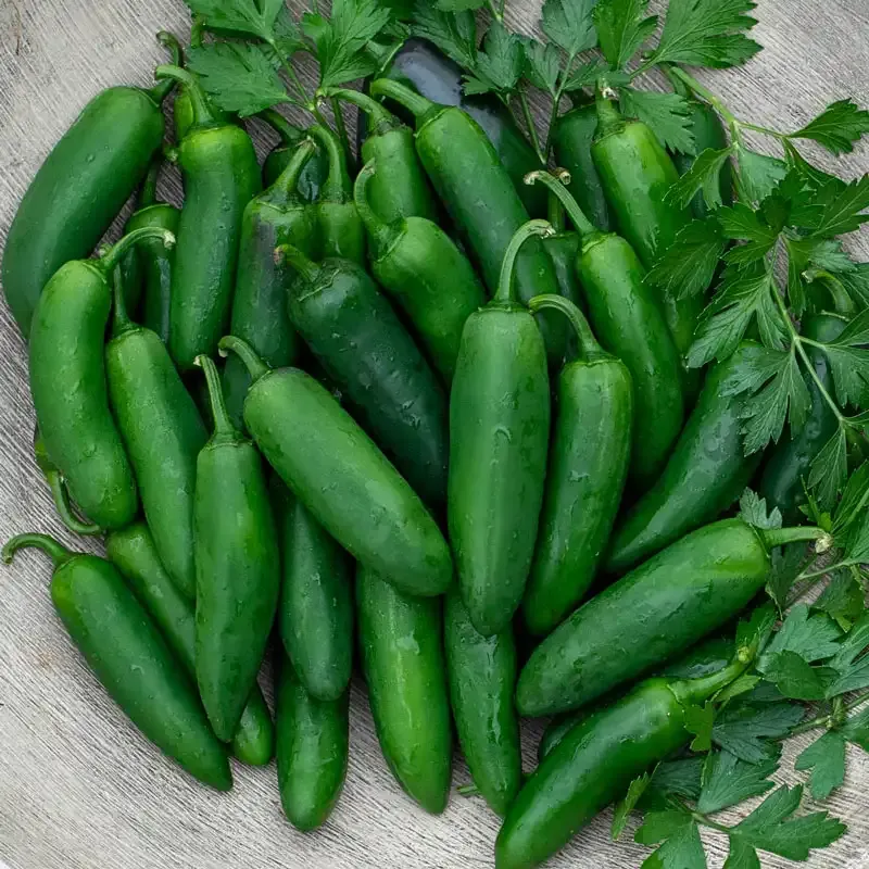 Nadapeno Sweet Pepper - Mild Heirloom Variety