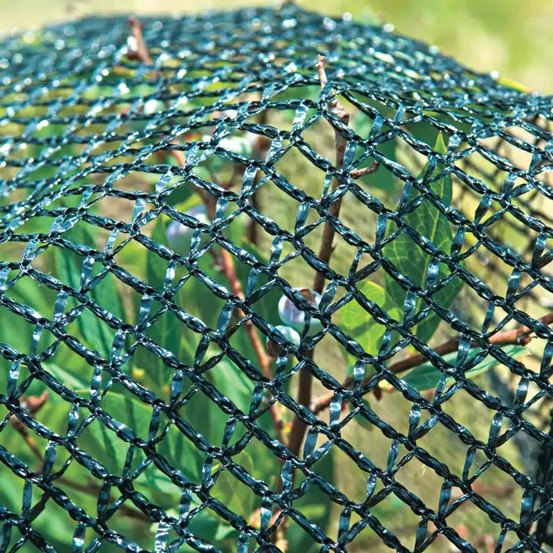 Heavy-Duty Bird Netting for Garden Plant Protection - Durable Mesh Barrier 1