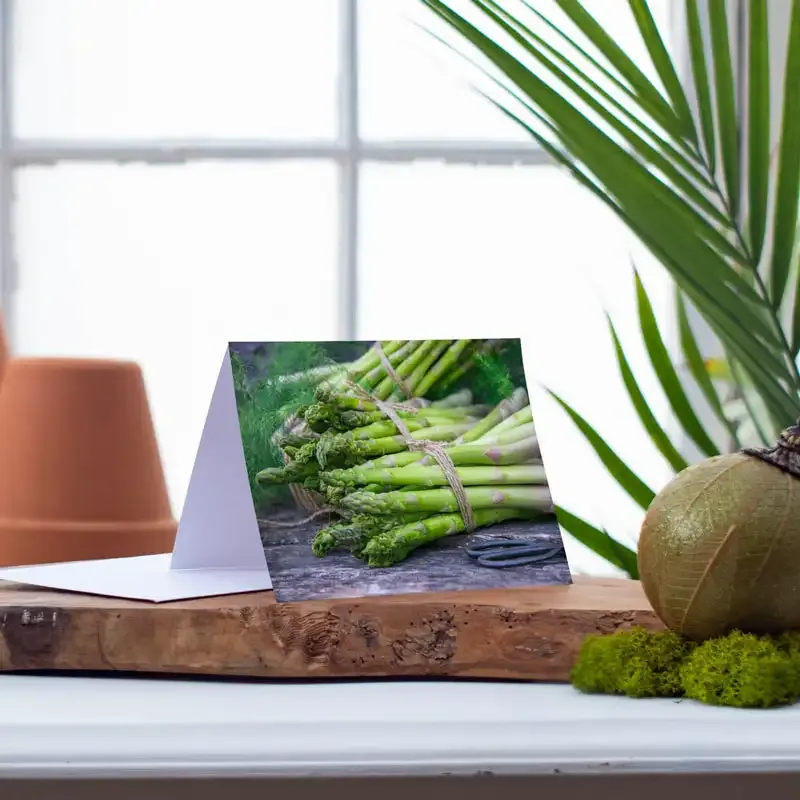 Vegetable Illustration Botanical Notecards Set 2