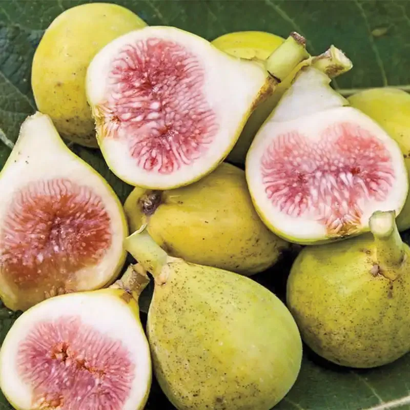 Honey Fig Spread - Natural Fruit and Honey Preserve
