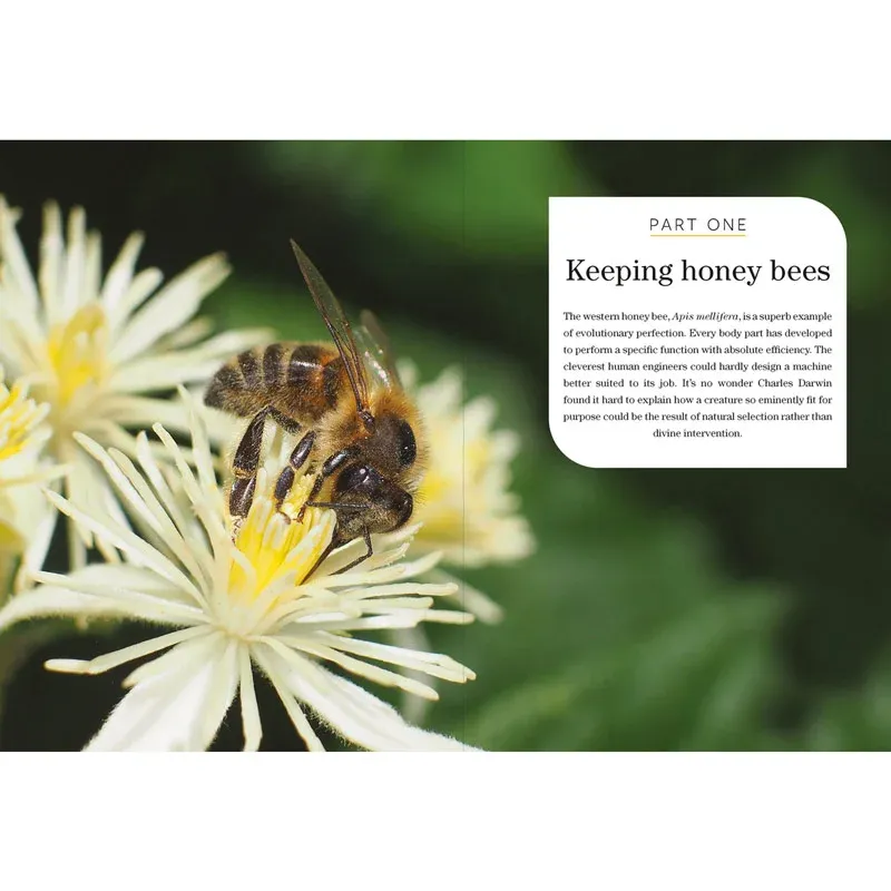 Beekeeping for Gardeners: A Practical Guide to Pollinator Management 1