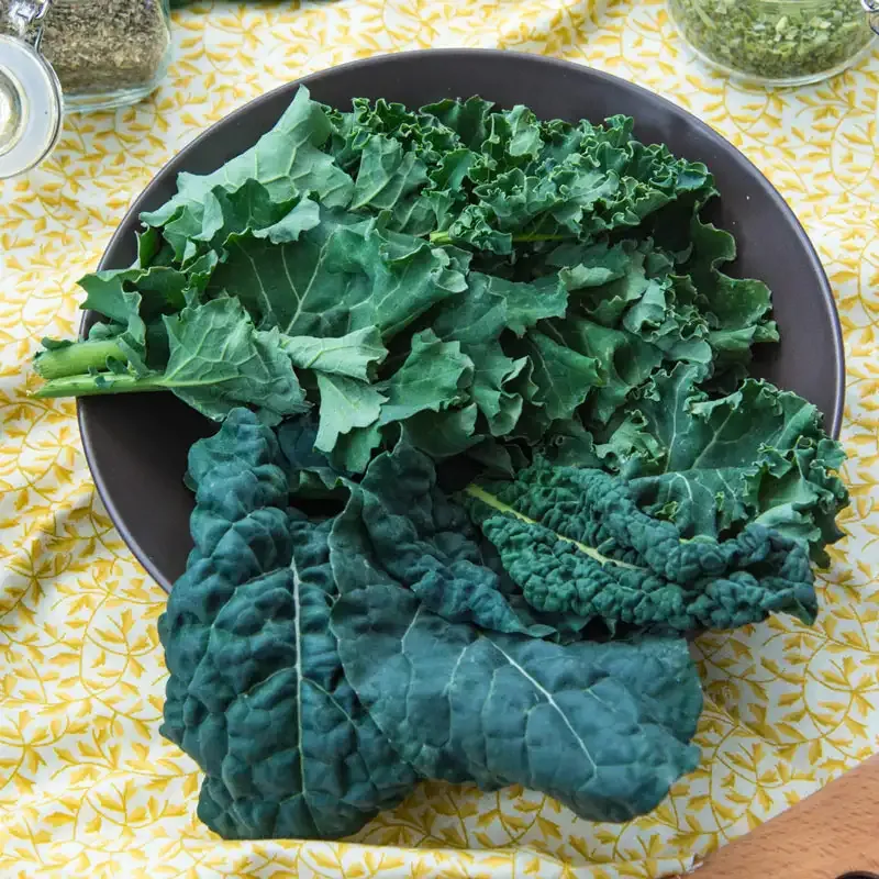 Winter Wonderland Mixed Kale Seeds for Cold-Season Gardening 1