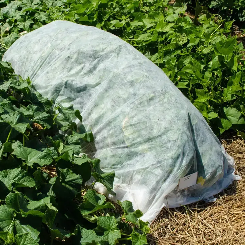 Floating Garden Row Cover - Breathable Plant Protection Netting for Vegetable Gardens 3