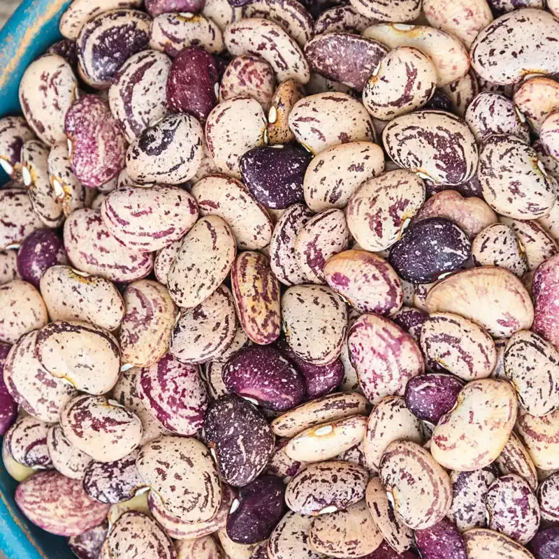 Wonder A.R. Butterpea Heirloom Legume Variety