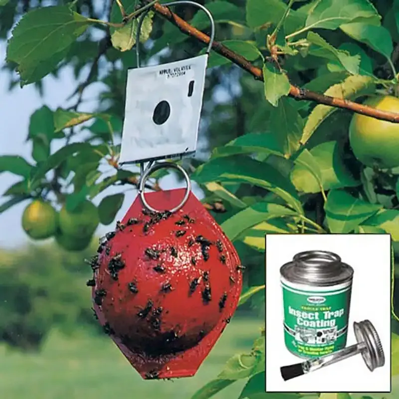 Red Sphere Sticky Insect Monitoring Trap for Orchard Pest Management