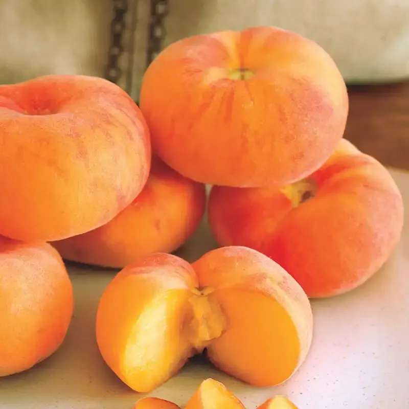 Flat Wonderful Peach Tree - Compact Fruit-Bearing Tree