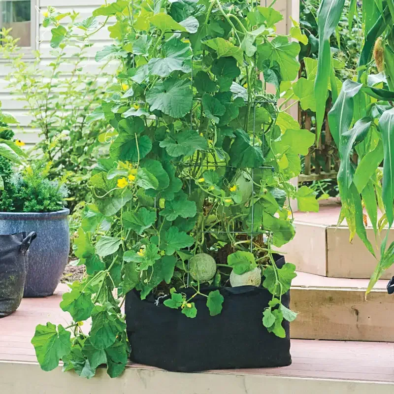 20 Gallon Fabric Garden Grow Bag with Reinforced Handles 3