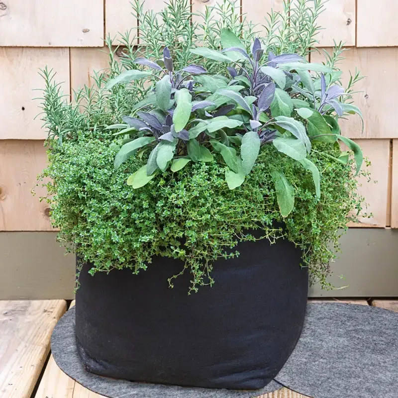 7 Gallon Fabric Garden Grow Bag - Breathable Aeration Container for Plants and Vegetables 3
