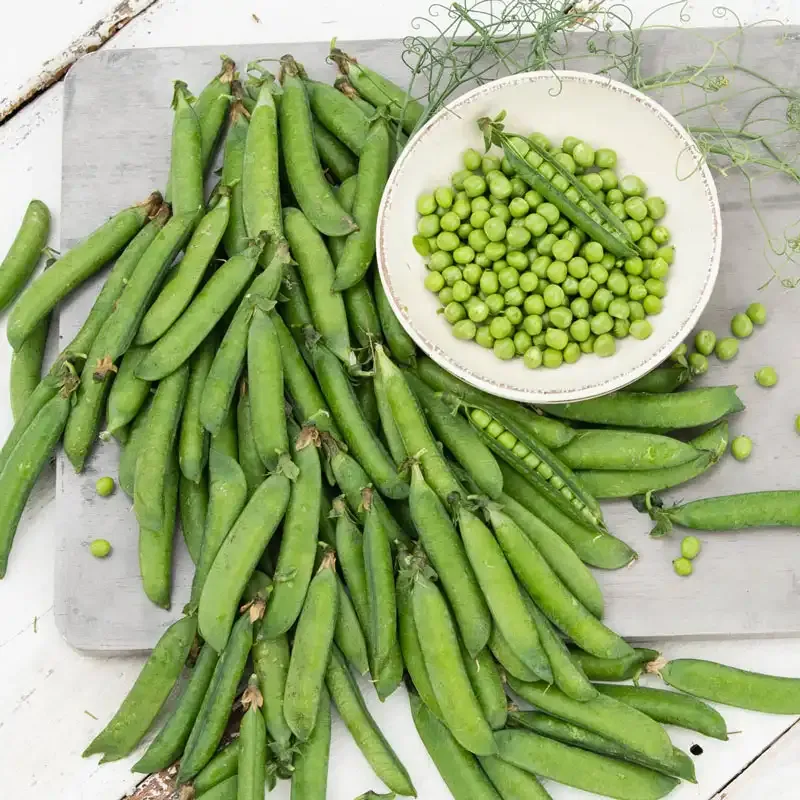 Sweet Pick Pea Seeds for Home Vegetable Gardening 1