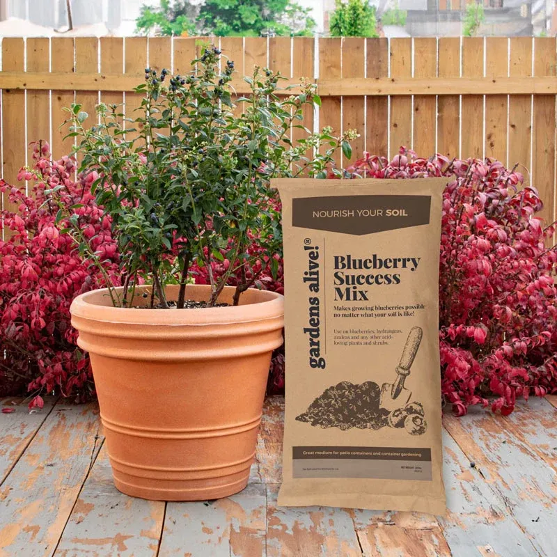 Acid-Loving Plant Fertilizer Mix for Blueberries and Berry Shrubs 2
