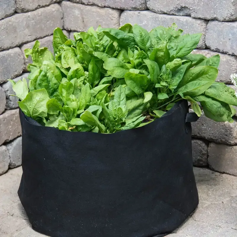 7 Gallon Fabric Garden Grow Bag - Breathable Aeration Container for Plants and Vegetables 2