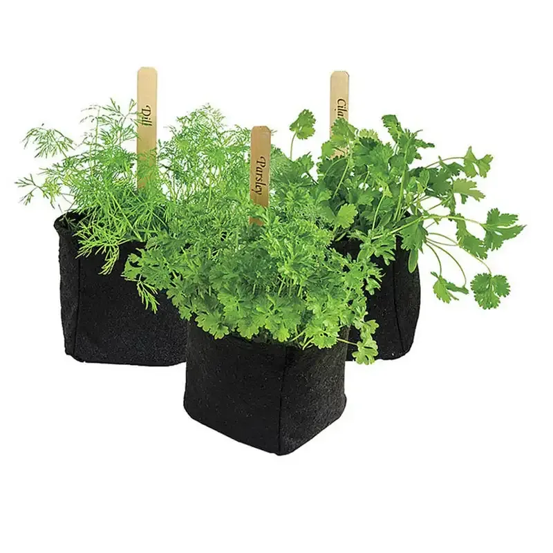4-Inch Herb and Transplant Nursery Pots for Seedlings
