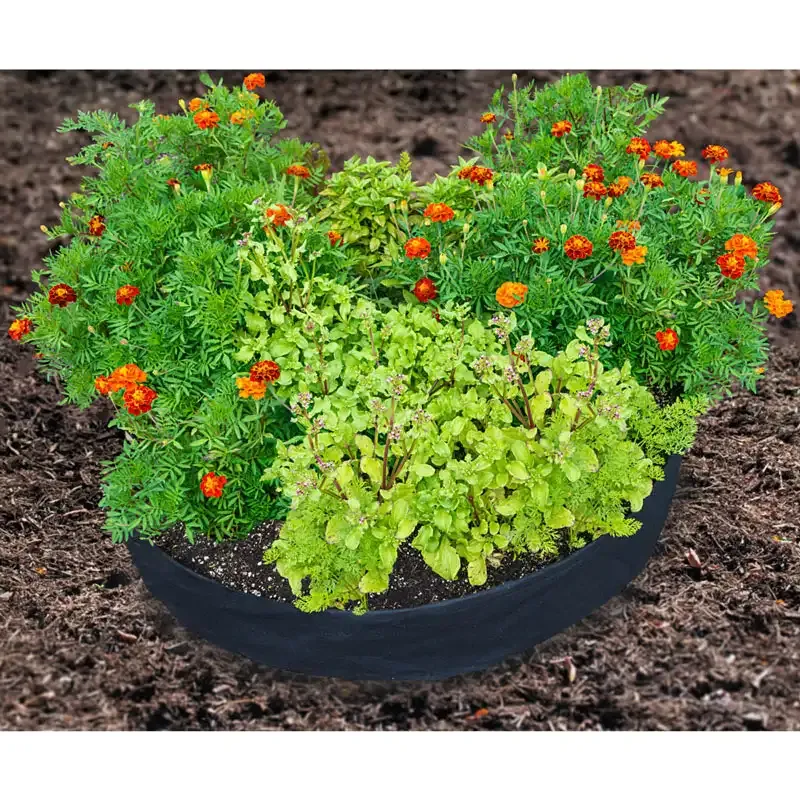 Durable Metal Raised Garden Bed for Vegetables and Flowers