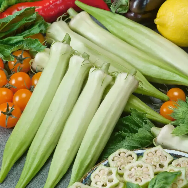 Blondy Okra Vegetable Seeds - Pale Green Pod Variety