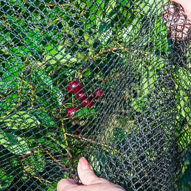 Heavy-Duty Bird Netting for Garden Plant Protection - Durable Mesh Barrier