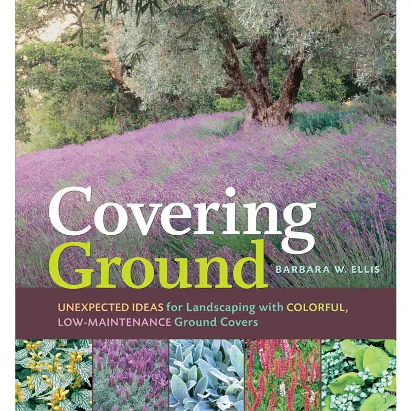 Covering Ground Protective Surface Layer