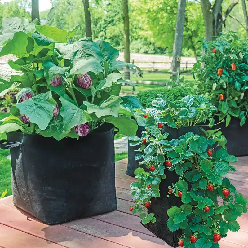 15 Gallon Fabric Garden Grow Bag for Vegetables and Flowers