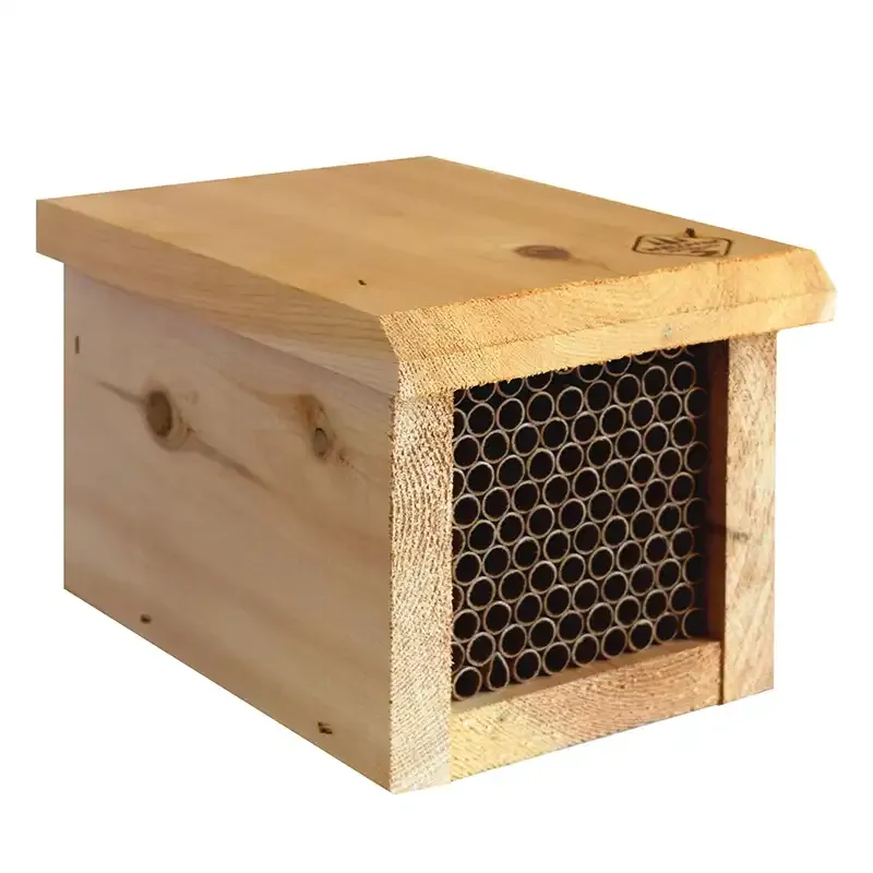 Mason Bee Replacement Nesting Tubes - Natural Reed Habitat Supplies