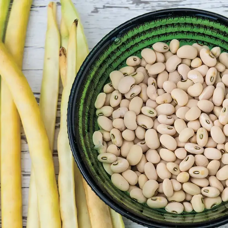 Elite Cream Pea Seeds for Vegetable Gardening