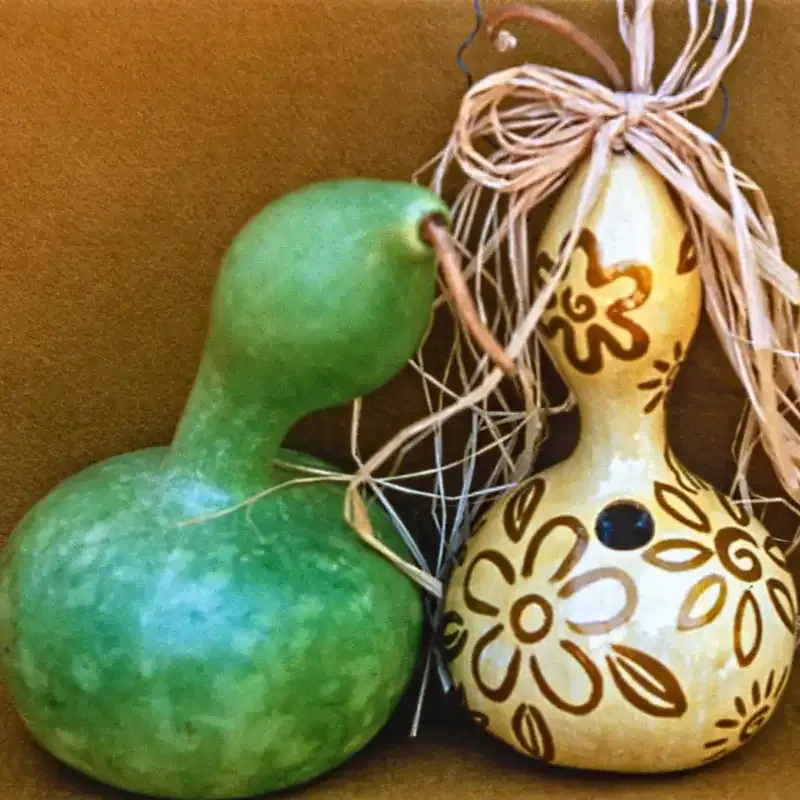 Birdhouse Gourd Seeds - Heirloom Lagenaria Siceraria for DIY Crafts 1
